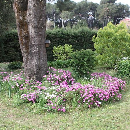 Apartamento Ecole Buissonniere Antibes Exterior foto